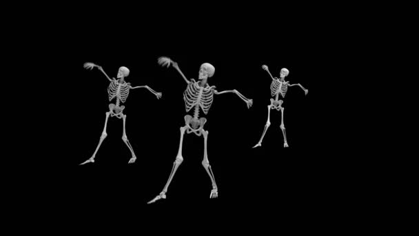 Three dancing skeletons on an isolated black background, seamless loop animation — Stock Video