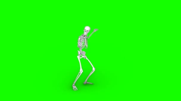 Skeleton dancing on an isolated green background, seamless loop animation — Stock Video