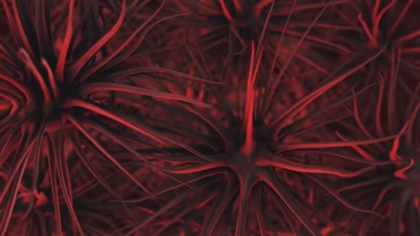 Animation der Bewegung des Virus unter dem Mikroskop im Blut — Stockvideo