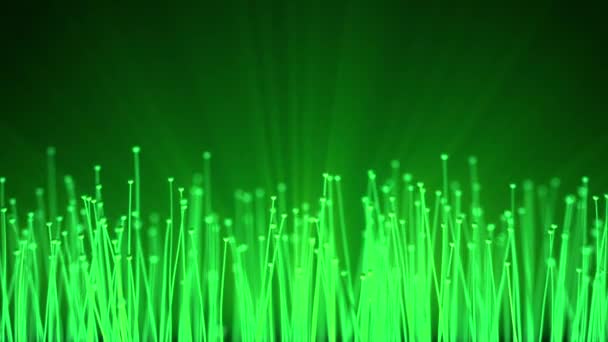 Sfondo tecnologico astratto. Fibre ottiche animazione di distribuzione del segnale luminoso da un diodo verso un mazzo. Utilizzato per la connessione internet ad alta velocità. Animazione loop senza soluzione di continuità Full HD — Video Stock