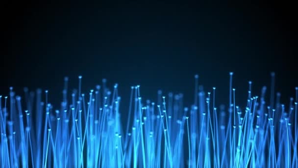 Abstract technology background. Optical fibers animation of distribution of the light signal from a diode towards a bunch. Used for high speed internet connection. Full HD seamless loop animation — Stock Video