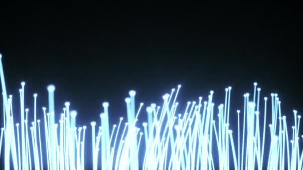 추상적인 기술 배경입니다. 무리를 향해 다이오드에서 빛 신호 분배의 광섬유 애니메이션. 고속 인터넷 연결에 사용 — 비디오