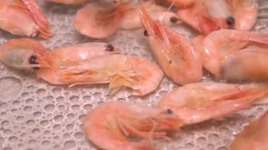 Ağır çekim yakın çekim sıcak lezzetli haşlanmış karides düşüyor