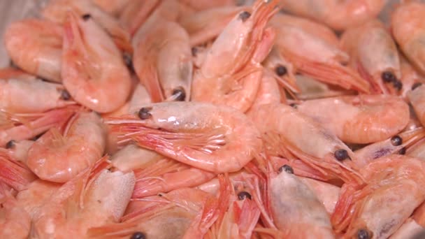 King prawn falls on small prawns in slow motion — Stock Video