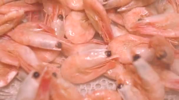 슬로우 모션 클로즈업에서 뜨거운 맛 있는 삶은 새우를 떨어지는 — 비디오