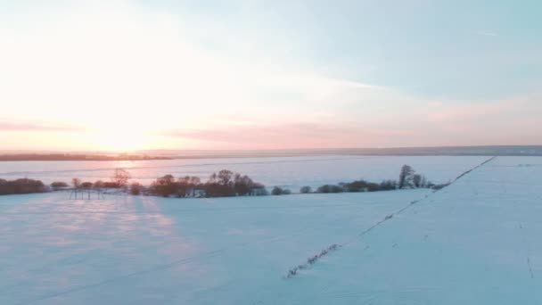 4 k z lotu ptaka ośnieżone drzewa rzeka Drone nagrania krajobraz zima natura piękny słoneczny dzień — Wideo stockowe