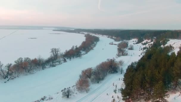 Vista Aérea Los Árboles Cubiertos Nieve Río Drone Filmación Paisaje — Vídeo de stock