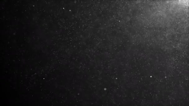 Particules de poussière organique naturelle flottant sur un fond noir. Des particules scintillantes scintillantes tournent aléatoirement dans l'air avec du bokeh. Particules dynamiques blanches. Particules scintillantes dans l'espace — Video