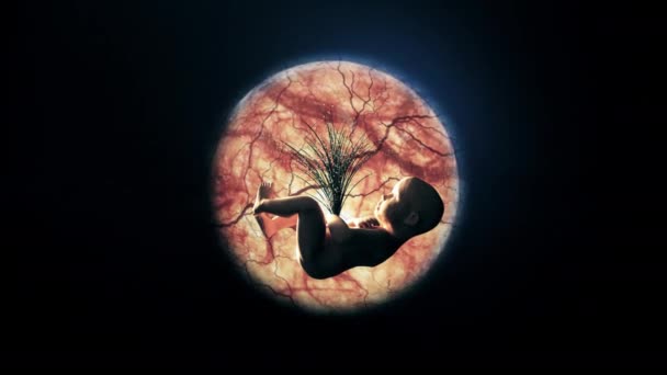 La composition du bébé dans le ventre de la planète Terre dans l'espace. Le concept d'harmonie entre l'homme et la nature. Greenpeace — Video