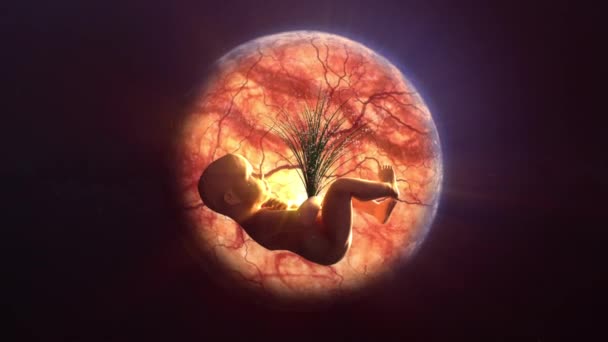 Состав младенца в утробе планеты Земля в космосе. Понятие гармонии между человеком и природой. Гринпис — стоковое видео