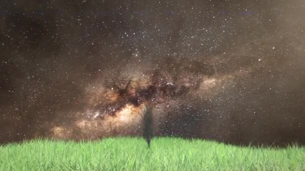 Time lapse albero in crescita — Video Stock