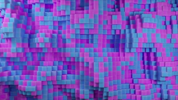 Abstract 3d animation of the movement of two-color cubes blue and purple, seamless loop 4k background — Stock Video