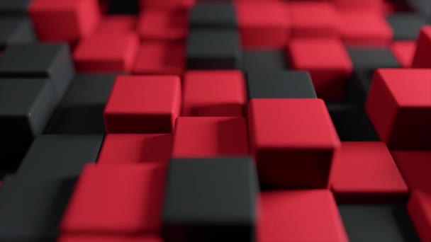 Abstraktní 3d animace pohybu dvoubarevné kostky červené a černé, bezešvé smyčka 4 k pozadí — Stock video