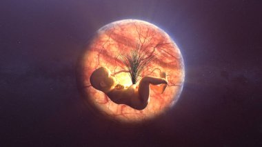 Bebek rahim planet Earth uzayda bileşimi. İnsan ve doğa arasındaki uyum kavramı. Greenpeace 3d çizim
