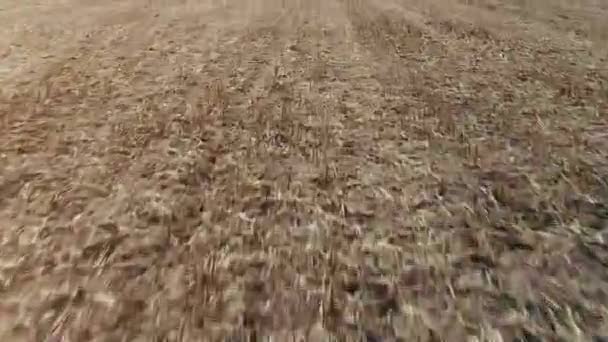 Vuelo rápido sobre un enorme campo vacío — Vídeo de stock