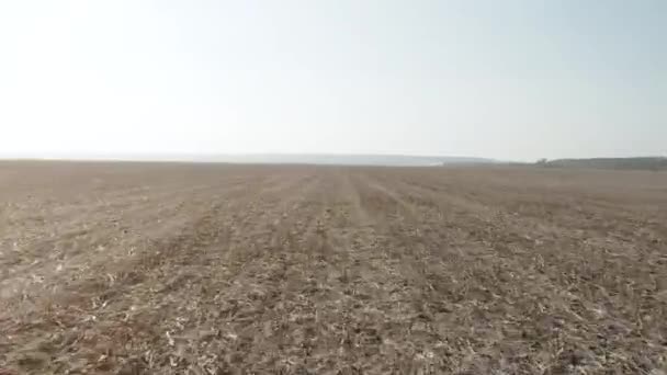 Snelle vlucht over een enorme lege veld — Stockvideo