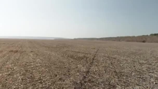 Snelle vlucht over een enorme lege veld — Stockvideo