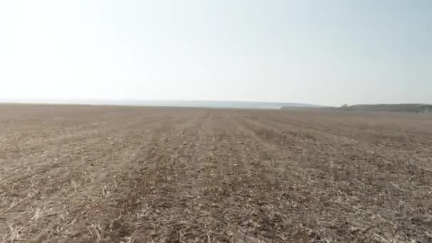 Snelle vlucht over een enorme lege veld — Stockvideo