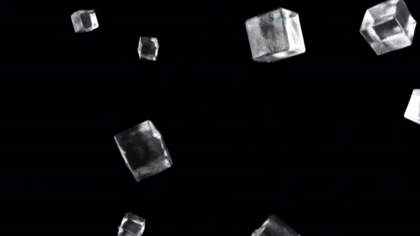 Ice cubes falling on isolated black background — Stock Video