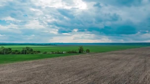 Wide shot on tropic rainforest jungle, mist, fog, rain, clouds move in timelapse footage. Green landscape. — Stock Video