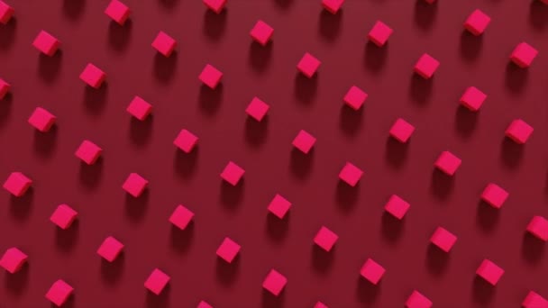 ジオメトリシェイプの抽象 3D レンダリング。シームレスループのコンピュータアニメーション。ポスター、カバー、ブランディング、バナー、プラカードのための赤いキューブの現代的な背景、シームレスなモーションデザイン。4k ウード — ストック動画