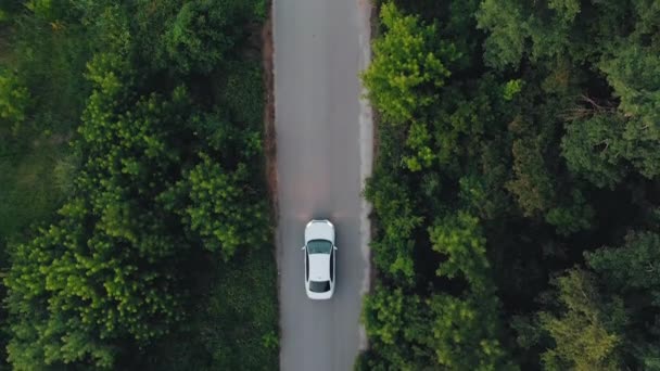 Vista aérea de arriba hacia abajo 4k del coche blanco que conduce en la carretera del campo en el bosque por la noche en el crepúsculo. Tiro de dron cinematográfico sobrevolando camino de grava en bosque de pinos — Vídeo de stock