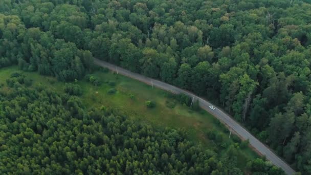 黄昏时分在森林中行驶的白色汽车空中 4k 视图。电影无人机拍摄飞越松树林的砾石路 — 图库视频影像