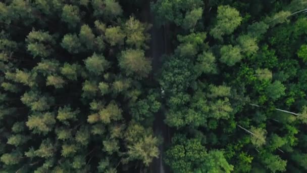 Aerial top down 4k widok białego samochodu jazdy po wiejskiej drodze w lesie w godzinach wieczornych o zmierzchu. Zdjęcia drona lecącego nad żwirową drogą w lesie sosnowym — Wideo stockowe