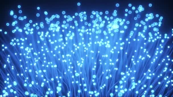 Distribuzione del segnale luminoso. Un mucchio crescente di fibre ottiche. Utilizzato per la connessione internet ad alta velocità. Tecnologia di rendering 4k 3d . — Video Stock