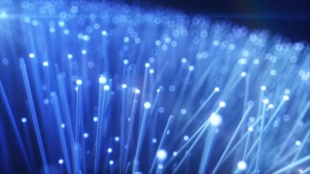 Milhões de fios de fibra óptica transmitindo um sinal, sinal intermitente, o conceito da mais recente tecnologia. Animação sem costura loop 4k — Vídeo de Stock
