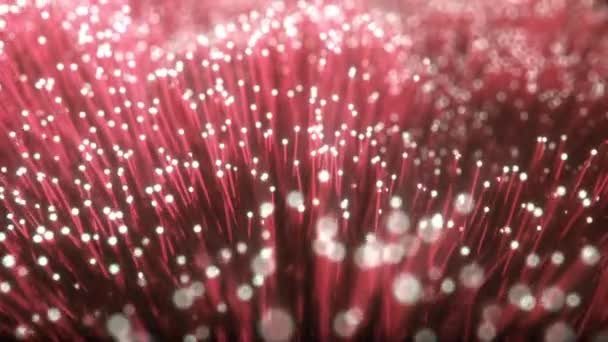Milhões de cabos de fibra óptica com movimento de luz — Vídeo de Stock