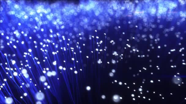 Millions of fiber optic cables carry the signal. The effect of the emerging light. 3d render — Stock Video