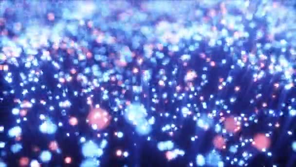 수백만 개의 광섬유 케이블이 혼란스러운 동작으로 신호를 전송합니다. 빨간색 및 파란색 케이블 — 비디오