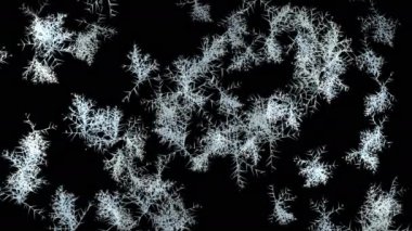 Güzel dondurucu animasyon. İzole edilmiş siyah bir arka plan üzerinde ekrana yayılan buz ve don desenleri.