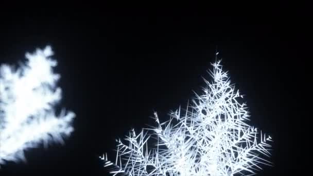 Mooie 3D render van bevriezing. Patronen van ijs en vorst verspreid in de ruimte op een geïsoleerde zwarte achtergrond. — Stockvideo