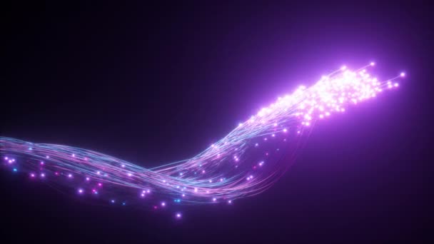 빛나는 광섬유 케이블. 정보는 와이어로 흐릅니다. 기술 및 정보 전송의 개념. 현대 블루 보라색 색상 스펙트럼 — 비디오