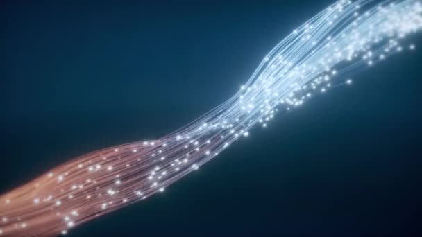 Câble à fibre optique lumineux. L'information circule par fil. Le concept de transfert de technologie et d'information — Video
