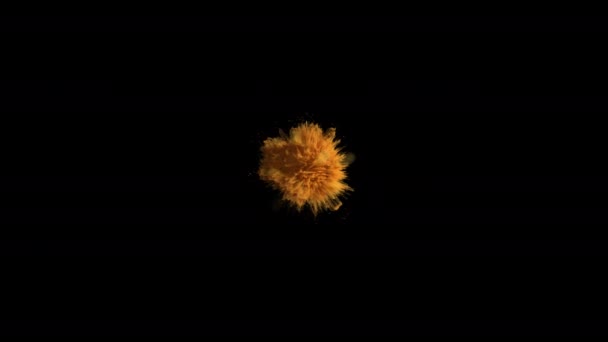 Super lassú mozgás arany sárga színű por robbanás izolált fekete háttér. Super lassított 3D-s renderelés — Stock videók