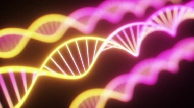 Dönen Neon DNA zinciri. Floresan ultraviyole ışıkları. Sci-Fi tarzı. Modern Neon sarı mor ışık spektrum. 3D render kesintisiz döngü animasyon 4k UHD