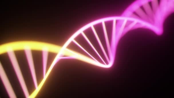 회전 네온 DNA 체인. 형광 자외선 조명. 공상 과학 스타일. 현대 네온 노란색 보라색 빛 스펙트럼입니다. 3D 렌더링 원활한 루프 애니메이션 4k Uhd — 비디오