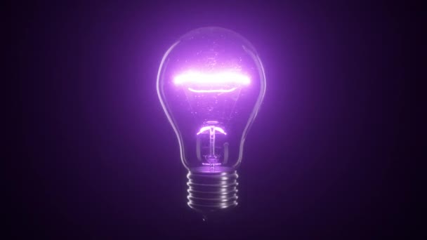 黒い隔離された背景の上にタングステン紫色の電球ランプをちらつ。シームレスなループ 3D レンダリング — ストック動画