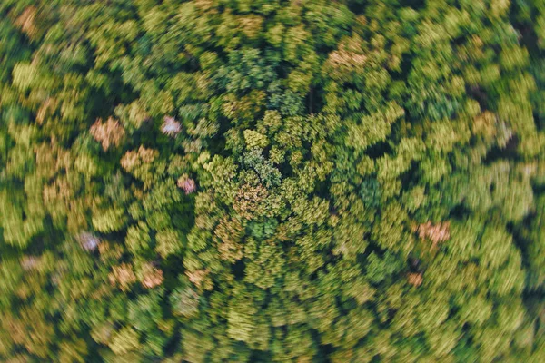 Vista aérea del bosque, Textura del bosque vista desde arriba. — Foto de Stock