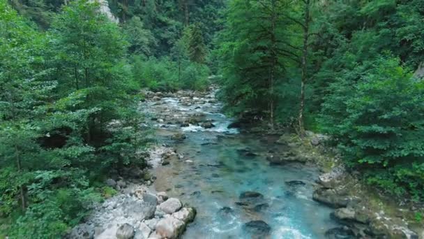 山の川の空中4kトップビュー。高山の川は森の中の岩の峡谷に流れる。夏になると、氷河の雪解けにより川が厚くなる. — ストック動画