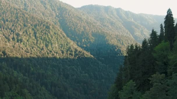 山々の空中4Kビュー。日没時に木々や植生が生い茂る強大な崖の間の山の峡谷の見事な通路 — ストック動画