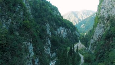 Dağların havadan 4k görünümü. Gün batımında ağaçlar ve bitki örtüsü ile büyümüş güçlü kayalıklar arasında dağların geçitçarpıcı bir geçit