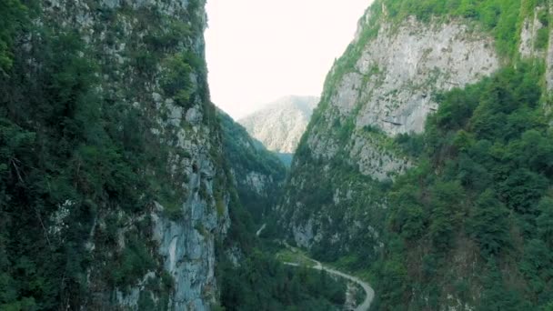 산의 공중 4K 보기. 아름다운 산지의 계곡에서 나무와 식물이 자라는 거대한 절벽 사이를 따라 아름다운 풍경을 감상하세요. — 비디오