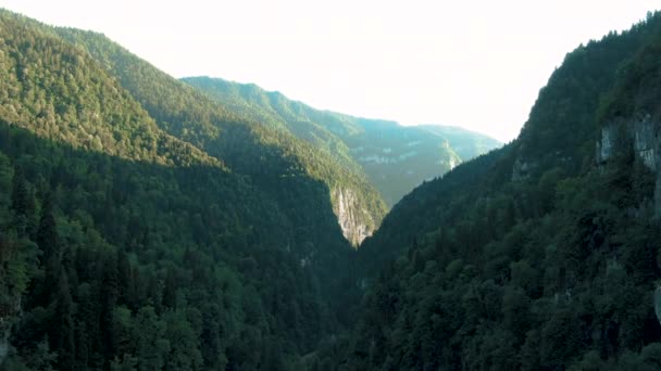 Vista aérea 4K de las montañas. Un impresionante paso en el barranco de las montañas entre los poderosos acantilados cubiertos de árboles y vegetación al atardecer — Vídeos de Stock
