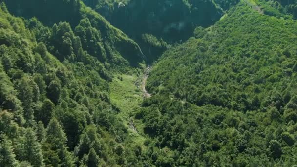 Antenna 4k nézetben. Gyönyörű nyári táj hegyek és erdők. Madártávlatból. — Stock videók