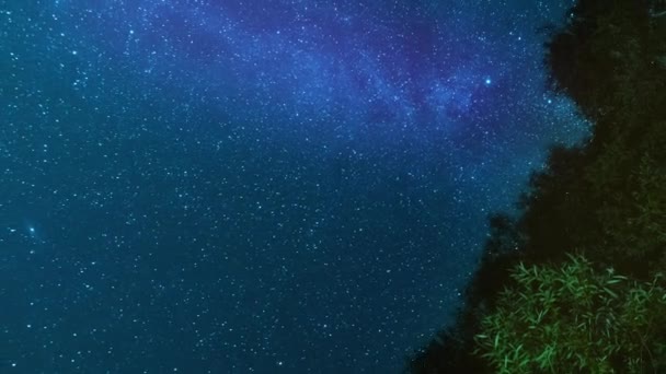 Το Τίμον του αστερόφωτου νυχτερίδα ουρανού. Αστερισμοί και διαστημικό νεφέλωμα. Γαλαξίας και αστέρια περνούν τα δέντρα στον νυχτερινό ουρανό. — Αρχείο Βίντεο