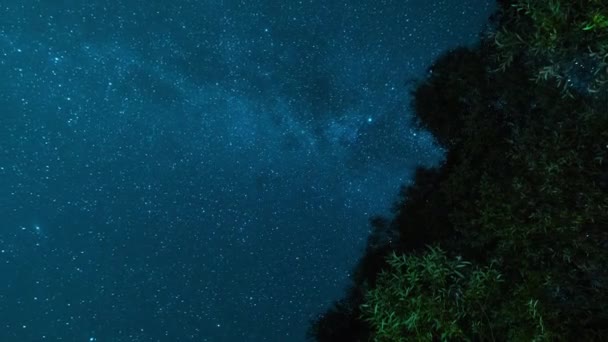 Na hvězdné noční obloze. Souhvězdí a Vesmírní mlhovina. Mléčná dráha a hvězdy procházejí přes stromy na noční obloze. — Stock video